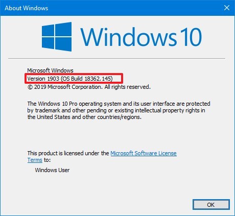 Windows 10 winver command version check